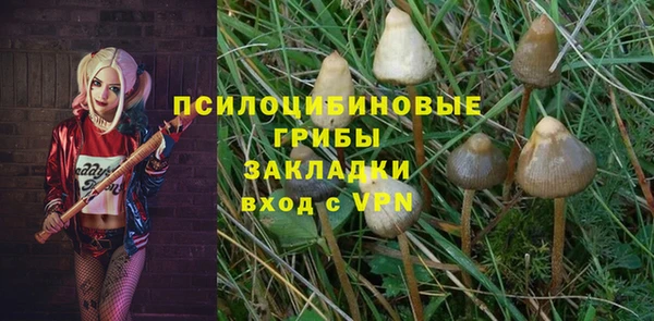 ALPHA-PVP Аркадак