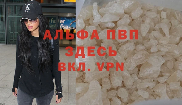 прущие грибы Куртамыш